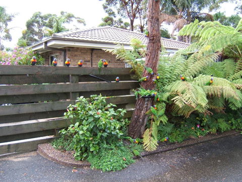 Ocean Drive Apartments - Melbourne Tourism 3