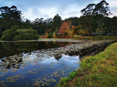 OCT Forest Lodge - Melbourne Tourism 2