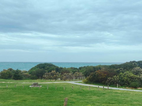ODYSSEY APOLLO BAY - Melbourne Tourism 2