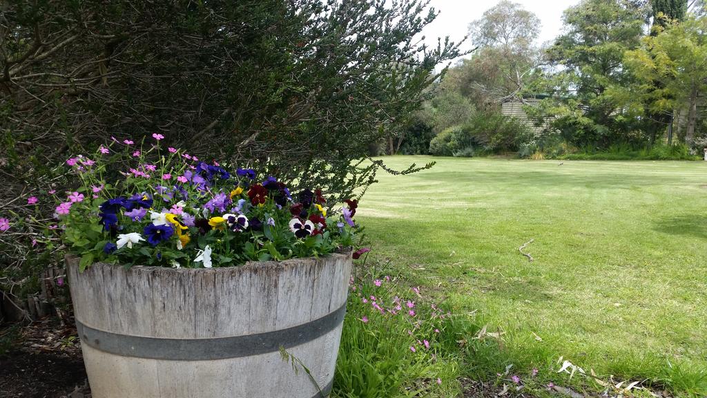 Padthaway SA Melbourne Tourism