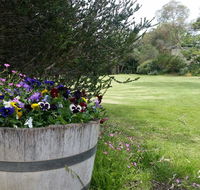 Padthaway Caravan Park - Melbourne Tourism