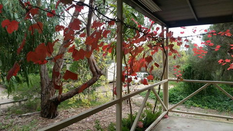 Padthaway Caravan Park - Melbourne Tourism 1