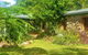 Palm Grove Rainforest Retreat - thumb 0
