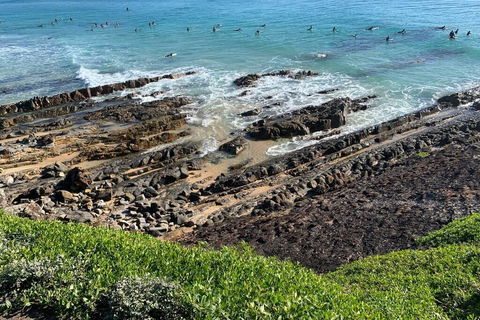 Pandanus - Melbourne Tourism 1
