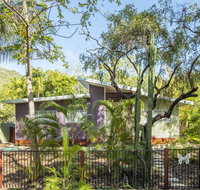 Papillon Bleu - Melbourne Tourism