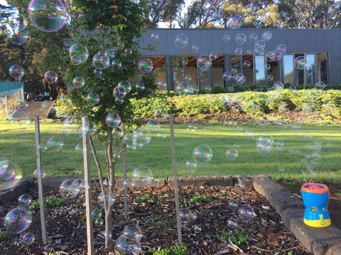 Paradiso Kinglake - Melbourne Tourism 1