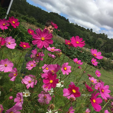 Pennyroyal Otways Retreat - Melbourne Tourism 3