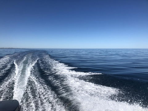 Peppermint Grove Beach Holiday Park - Melbourne Tourism 2