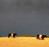 Peppertree Hill - Melbourne Tourism