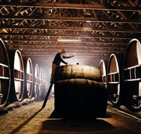Pieter van Gent Winery  Vineyard - Melbourne Tourism
