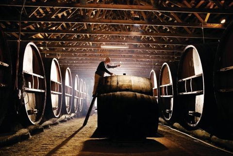 Pieter Van Gent Winery & Vineyard - Melbourne Tourism 0