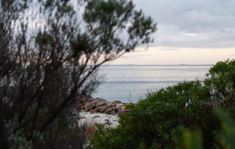 Polperro, A Quintessential Seaside Experience - Melbourne Tourism 1