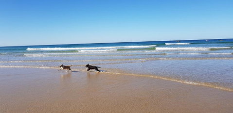 Red Door Beach House - Marcoola Beach - PET FRIENDLY, FOXTEL, WIFI, 500 BOND, Linen Supplied - Melbourne Tourism 1