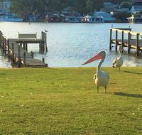 Riverfront Getaway - Mannum - Melbourne Tourism