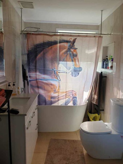 Silverbirch Cottage - Melbourne Tourism 3