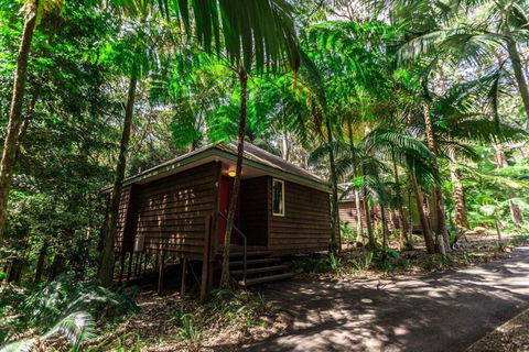 Songbirds Rainforest Retreat - Melbourne Tourism 2