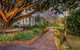 Spicers Clovelly Estate - thumb 2