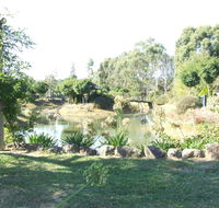 Still Waters - Melbourne Tourism