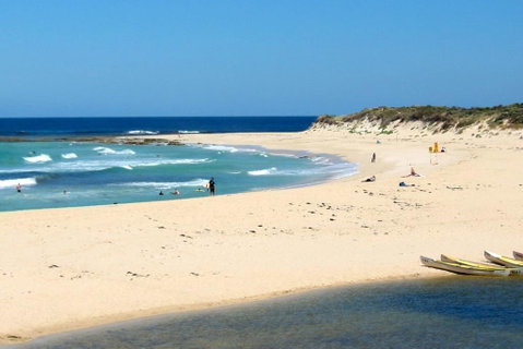 Tea Tree - Melbourne Tourism 2