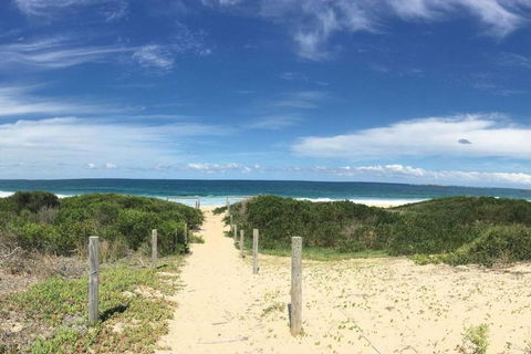 The Beach Shack - Melbourne Tourism 1