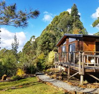 Southern Forest Accommodation - Melbourne Tourism