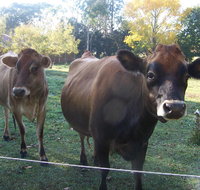 Drumreagh Bed  Breakfast Cabins - Melbourne Tourism