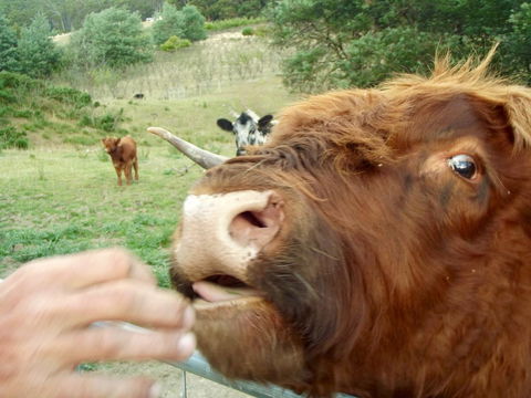 Eden Orchard & Farmstay - Melbourne Tourism 25