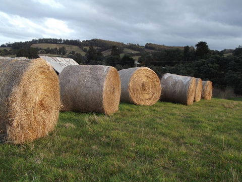 Eden Orchard & Farmstay - Melbourne Tourism 35