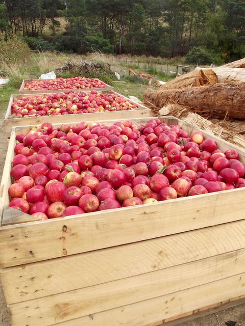 Eden Orchard & Farmstay - Melbourne Tourism 33
