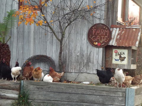 Eden Orchard & Farmstay - Melbourne Tourism 32