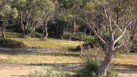 BAY OF FIRES SEACHANGE Ocean Frontage - Melbourne Tourism 12