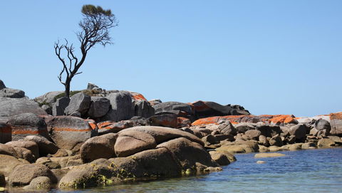 BAY OF FIRES SEACHANGE Ocean Frontage - Melbourne Tourism 21