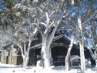 Book Dinner Plain Accommodation Vacations Melbourne Tourism Melbourne Tourism