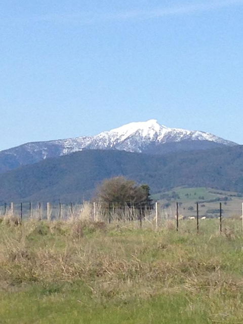 High Country Holiday Park - Melbourne Tourism 34