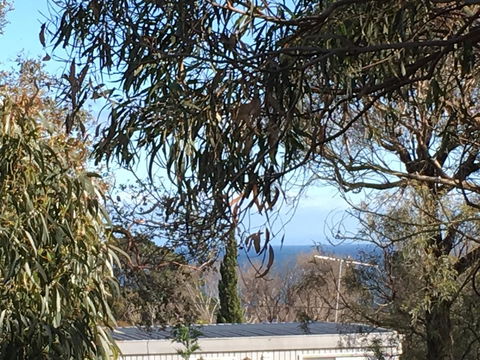 Kookas Retreat - Melbourne Tourism 17