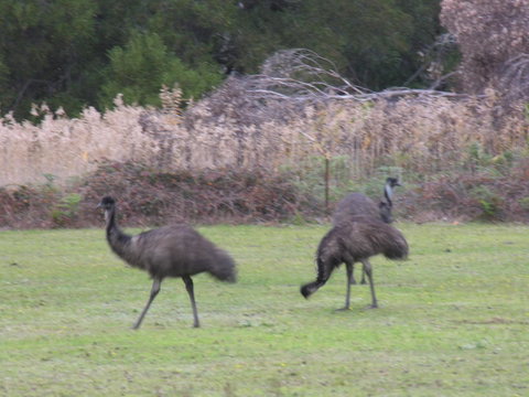 The Grampians Motel - Melbourne Tourism 22