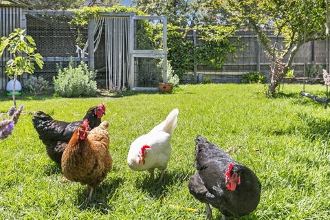 Bilinga Cottages - Melbourne Tourism 16