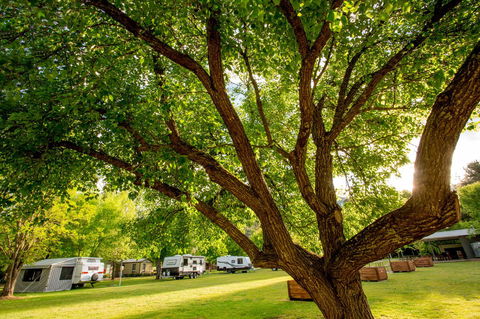 Discovery Parks - Bright - Melbourne Tourism 31