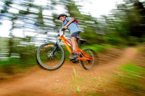 Discovery Parks - Bright - Melbourne Tourism 24