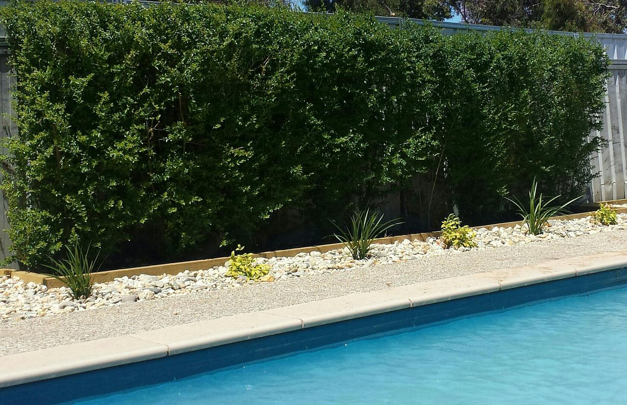 Annuello VIC Melbourne Tourism