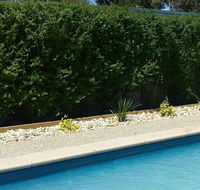 Robinvale Bridge Motel - Melbourne Tourism