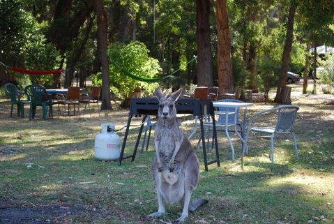 Gariwerd Motel - Melbourne Tourism 26