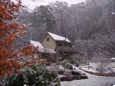 Shady Brook Cottages - Melbourne Tourism 24