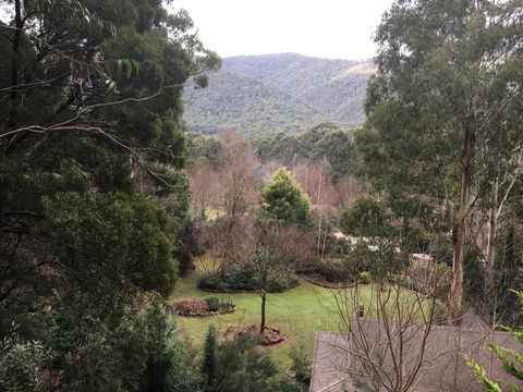 Shady Brook Cottages - Melbourne Tourism 18