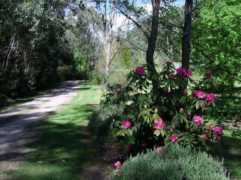 Shady Brook Cottages - Melbourne Tourism 15