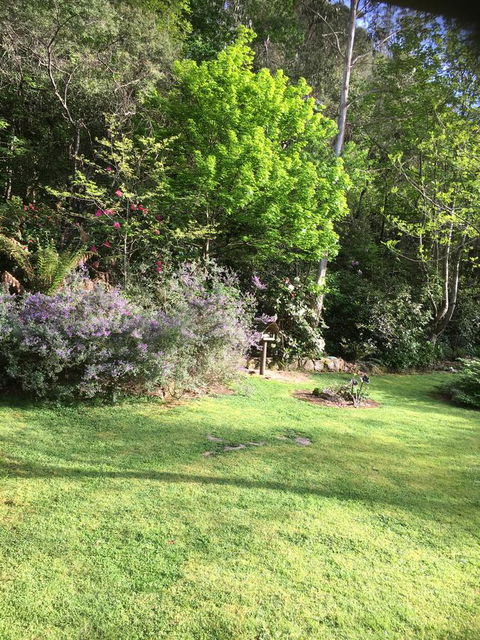 Shady Brook Cottages - Melbourne Tourism 6