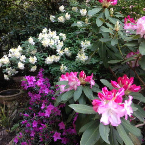 Shady Brook Cottages - Melbourne Tourism 10