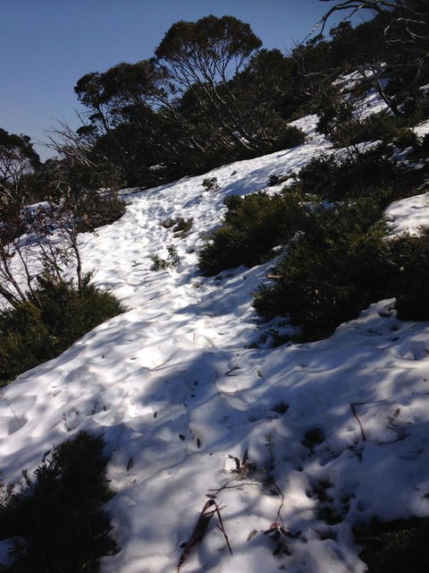 Shady Brook Cottages - Melbourne Tourism 11