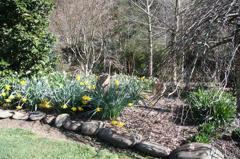 Shady Brook Cottages - Melbourne Tourism 8