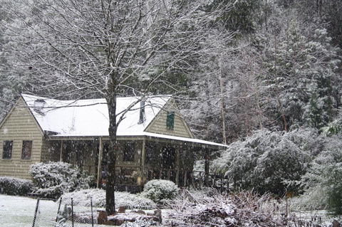 Shady Brook Cottages - Melbourne Tourism 30